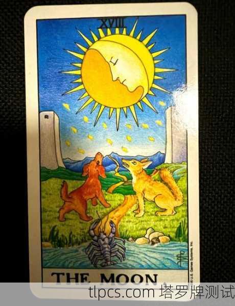 塔罗牌的心意