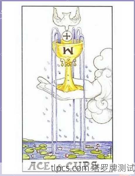 马赛塔罗牌中的圣杯五（Le Cinq de Coupes）是一张充满象征意义的牌，通常与失落、遗憾、悲伤等情绪相关，但同时也隐含着希望与转机。以下是这张牌的详细解读