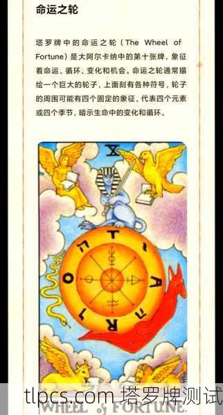 荔枝塔罗牌，当岭南甜香遇见命运之轮