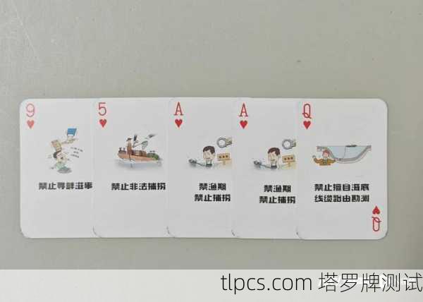 以下是一个完整、清晰且常用的放牌流程，你可以根据习惯调整