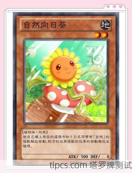 花之精灵塔罗牌，自然灵韵中的生命启示