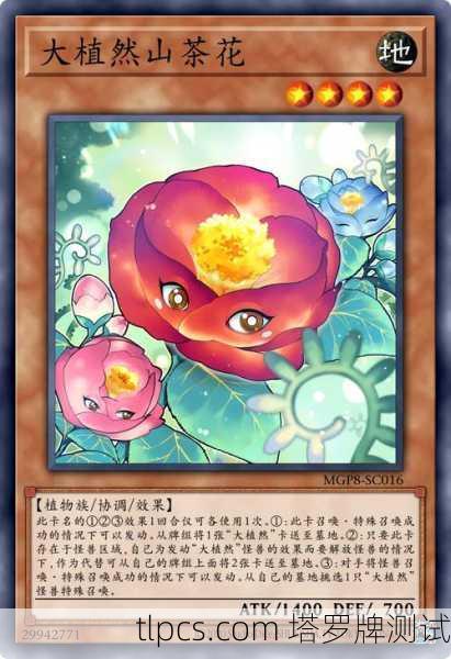 花之精灵塔罗牌，自然灵韵中的生命启示