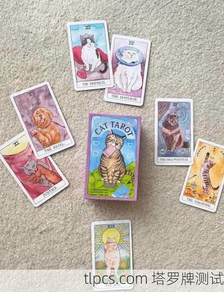 塔罗牌吧猫魅，神秘灵性的占卜伴侣