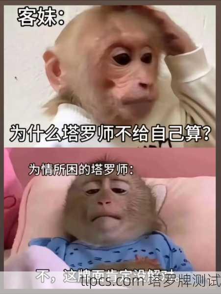 塔罗牌整人表情包，神秘学与幽默的奇妙碰撞