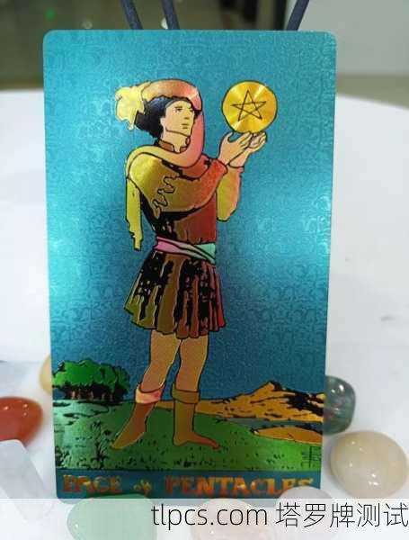 星币国王骑士，当务实梦想家握住缰绳