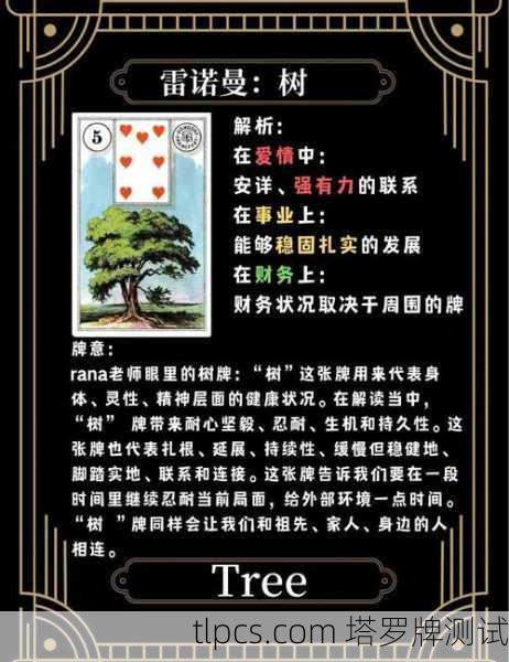 树根启示录，塔罗牌中那些看不见的根系