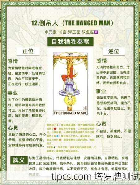 树根启示录，塔罗牌中那些看不见的根系