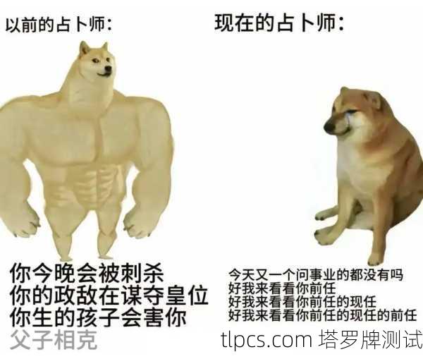 笑到抽！这些塔罗牌恶作剧视频也太会整活了吧