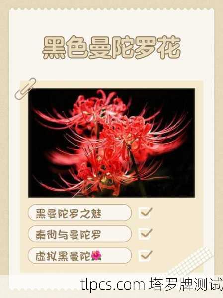 花影塔罗,在繁花与暗影间,聆听灵魂的低语