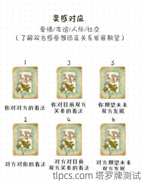 抽张塔罗牌,看看你未来感情会咋样?