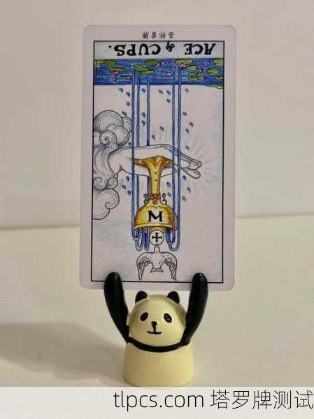 圣杯9，过去那张牌，藏着多少未说出口的满足与遗憾？