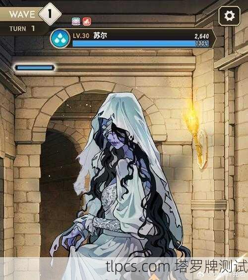 女皇牌旁边蹲了只黑猫？这塔罗阵仗可不简单！