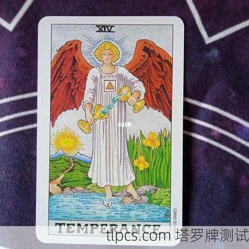 沈嵘爱恋塔罗牌,解读情感迷宫的智慧之钥