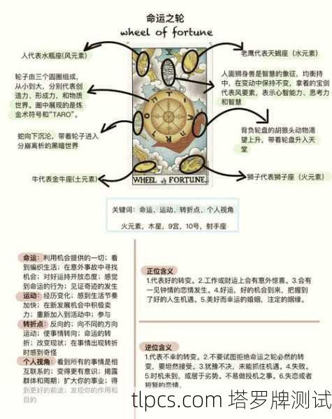 塔罗牌搞笑套路解读，当命运之轮开始鬼畜旋转