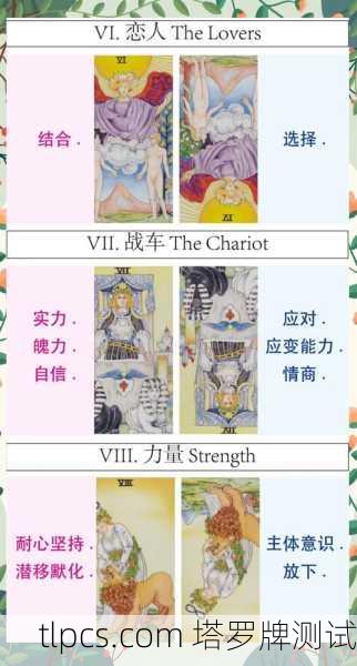 运动员塔罗牌，解读赛场内外的命运轨迹