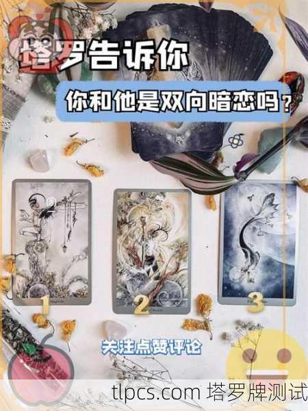 塔罗牌Jody朱蒂,她手中的牌,如何照亮我人生的迷雾