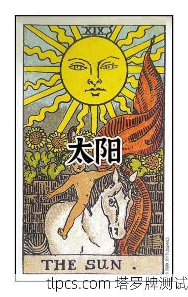 塔罗牌中的太阳牌是78张牌中最积极、光明的牌之一，象征成功、活力、清晰与喜悦。以下是一个结合具体情境的案例解析，帮助你理解这张牌在实际占卜中的含义