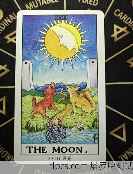 月下兔塔罗牌银河,探索宇宙奥秘与内心灵性的神秘桥梁