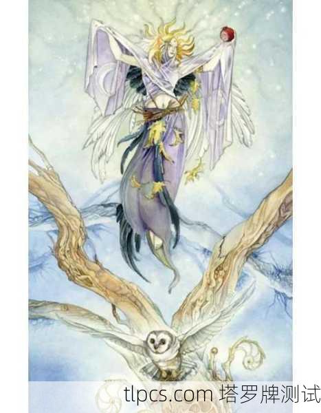 揭秘塔罗牌花影，探寻正版艺术的深邃世界与灵魂测算