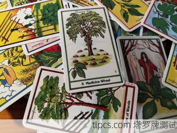 🌿塔罗牌的视角，可能的象征与启示