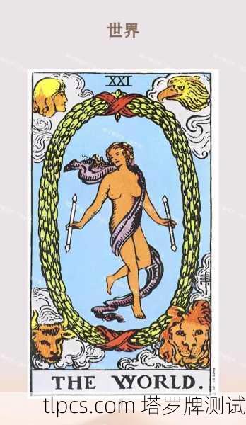 塔罗牌与睡意,当神秘学遇上生理时钟