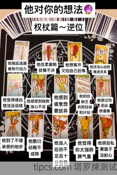 塔罗牌里的霸道总裁，权杖国王教你如何点燃人生火焰