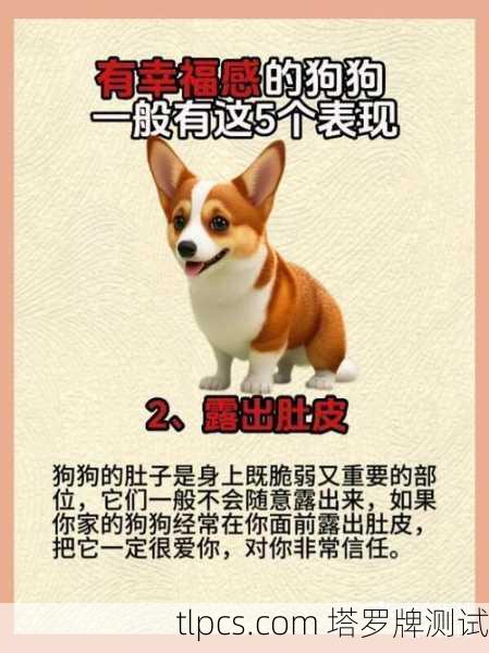 理解你对狗狗的担忧与牵挂。作为重要的家庭成员，它们的健康与安危牵动着我们的心。塔罗牌作为一种探索潜意识的工具，或许能为你提供一些启发与思考方向，但请记住，它不能替代专业的兽医诊断与现实的照料