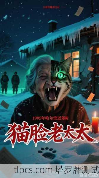 这是一个非常著名的都市传说，通常被称为 于雷死亡塔罗牌 或 哈尔滨猫脸老太太事件中的塔罗牌