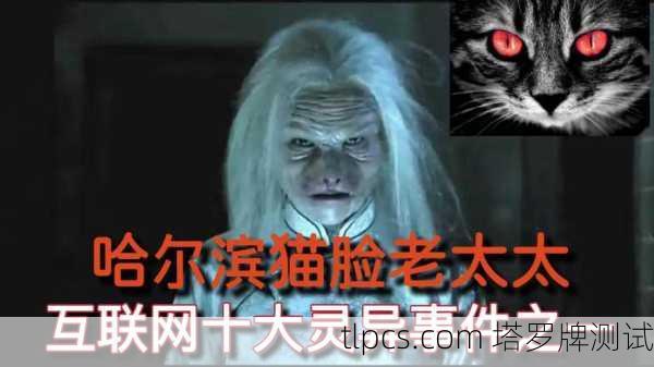 这是一个非常著名的都市传说，通常被称为 于雷死亡塔罗牌 或 哈尔滨猫脸老太太事件中的塔罗牌