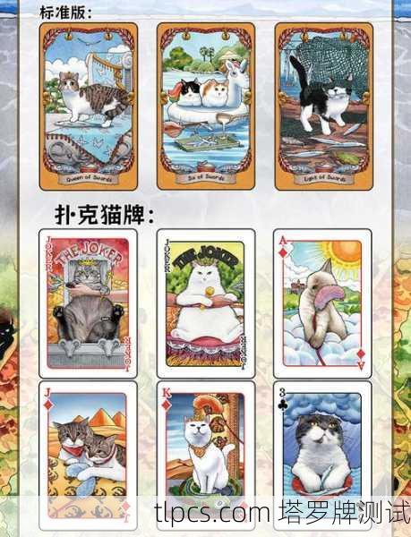 寻猫启示,当塔罗牌照亮迷途猫的回家路