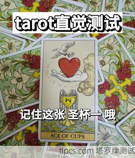 塔罗牌52，揭秘塔罗牌中的隐藏数字与深层测试