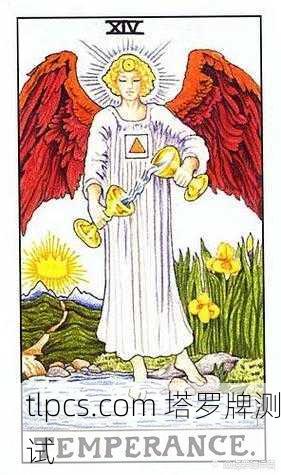 塔罗牌女生视频大全,探索神秘世界的指引