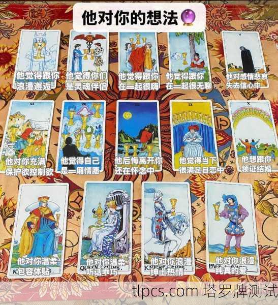 一日塔罗牌，从入门到测算的深度探索
