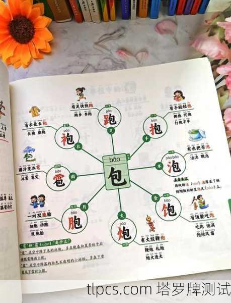 这份图解将以 文字表格+关系图+解读 的形式呈现，方便你理解和记忆