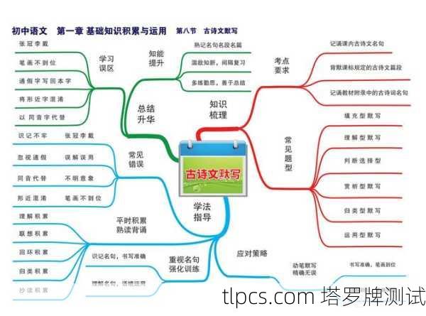 这份图解将以 文字表格+关系图+解读 的形式呈现，方便你理解和记忆