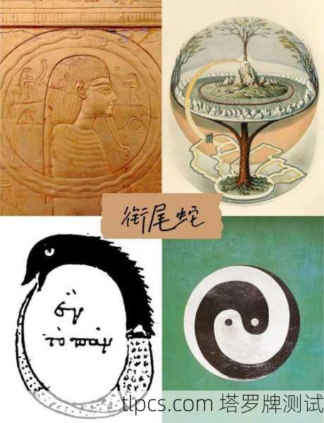 塔罗牌中的蛇牌,智慧、诱惑与蜕变的象征