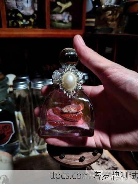 塔罗牌中的蛇牌，智慧、诱惑与蜕变的象征