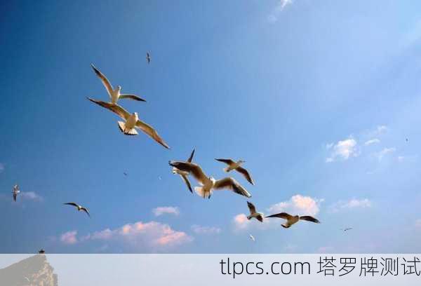 权杖十，重压之下的坚韧与释放