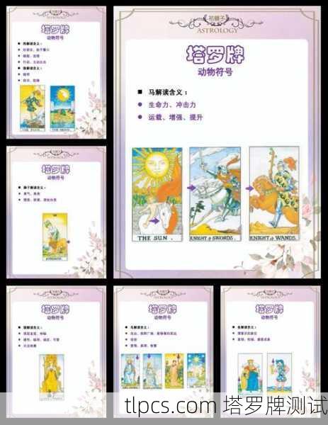 聊聊动物塔罗牌到底卖多少钱？新手入手前必看的价格指南！