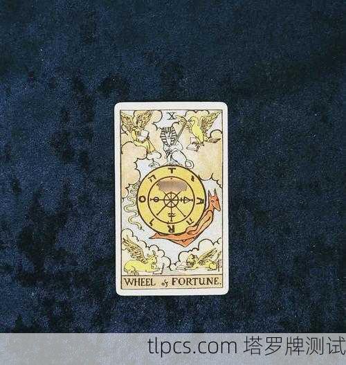 塔罗牌下的金俊秀，当命运之轮开始转动