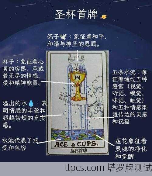 在塔罗牌中，圣杯（Cups）代表情感、直觉、人际关系、爱、灵性与内在世界。如果用它来探讨命运，通常不是指不可改变的宿命，而是指情感层面的生命轨迹、灵魂的成长、关系的业力以及内心召唤的方向