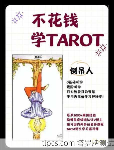 等待收获的智慧,我与金币七的塔罗启示