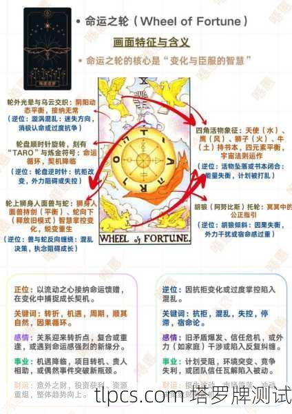 Anna最新塔罗牌解读，命运之轮下的自我觉醒之旅