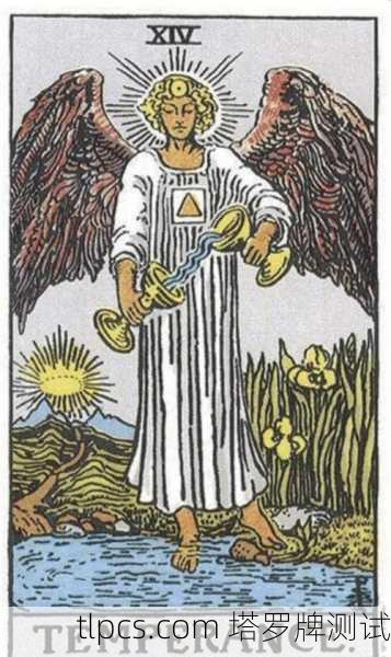在塔罗牌中,翅膀这一意象并非出现在所有牌中,但它在特定卡牌里承载着丰富的象征意义。翅膀通常与灵性、自由、讯息、提升、保护与神圣连接相关。以下是塔罗牌中与翅膀相关的主要象征解读