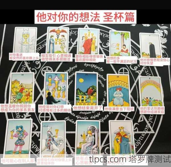 塔罗牌木蒙，当卡牌开始对我低语