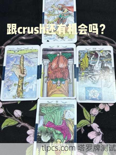 塔罗牌到底准不准?我来给你讲透它的门道和一次真实测试!