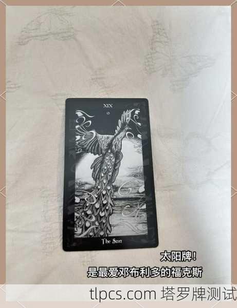 塔罗牌中的火焰，当纸牌开始燃烧我的生活