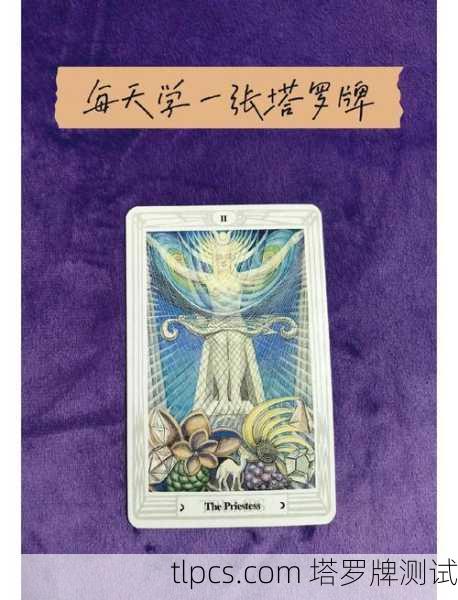 塔罗牌BJ祭祀,一场都市迷宫的自我探寻