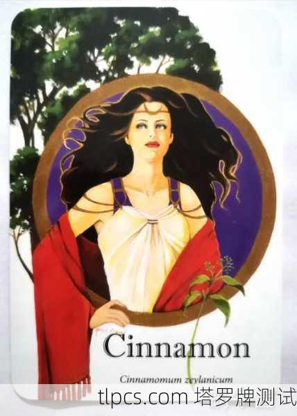 肉桂的灼热预言,我的精油塔罗觉醒之旅