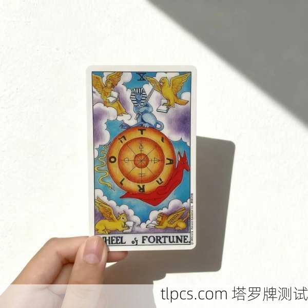 佑介塔罗牌，当命运之轮在我手中转动